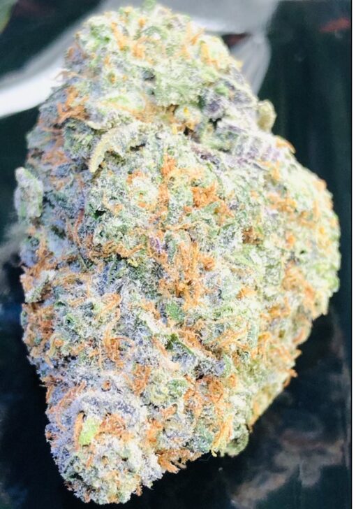 tropicana cookies strain