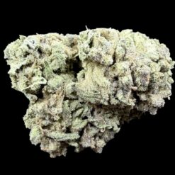 Photoroom 20260311 140701