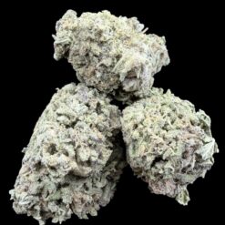 Photoroom 20260311 140803