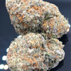 Panda Glue 🐼 1 BBE4254C 7718 4385 82F2 18A6A91E9935