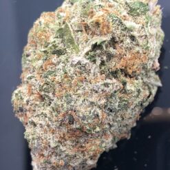 Sunset Octane 1 029A20C1 1038 45A7 A04F CA995098BAC0