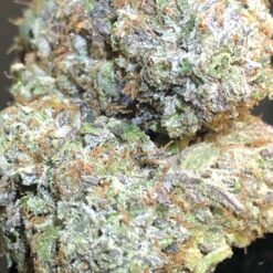 0ADF0964 0D47 4227 A18E C847E37E12A8