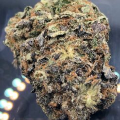 LA confidential 🤫 ⛽️ 🦨 3 15C580CD 5F7A 4481 AA57 4C2929EEAA4A