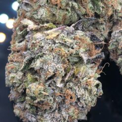 1ADD4F5E 9B35 4DAA AD28 ED45C29EE7B7