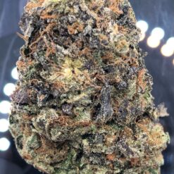 LA confidential 🤫 ⛽️ 🦨 2 55460817 C5AB 4A06 B7C0 355F06D87E57