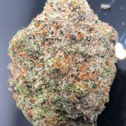 Sunset Octane 2 816745EA 7F90 43E1 A84C 0C6FC8EB9CE7