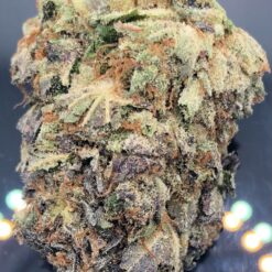 LA confidential 🤫 ⛽️ 🦨 1 9AAED889 C8F8 4DA0 9451 FE9AE1080698