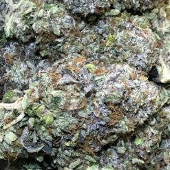 C2AD390B B24F 466E 8D38 A139D8EC9A93