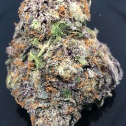 2EE08400 9B34 418B 93D7 F69E629EB1F4