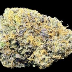 F900CA0B BCBF 4C99 8F55 7B582A5D4883