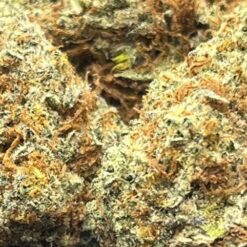 0352B926 A522 491D B8F2 D10385038925