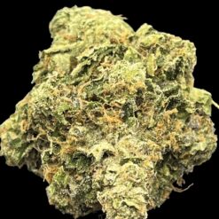 3194AA9F 0F5E 4A7C 9866 BA6F24D794E0