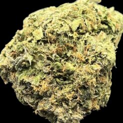 31D50FC8 828A 434C 8972 379799F77D05