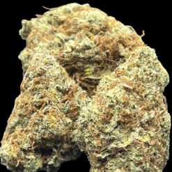 6EE10409 5C03 4F36 A474 62227C637595