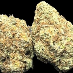 D0A585EA CEC3 4A1F B6EF 98509A993C5F