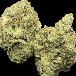 DFBEF3B7 FC35 448B 8354 BD43FF0D1BF3