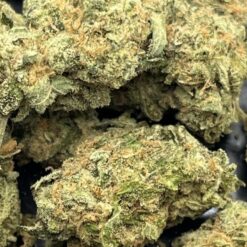 F7755796 E838 45D0 8E53 87A01A496264