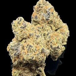 Harambe Ghost 👻 🔥 🔥 1 39E1DBC7 FAB6 4F79 B75E 062E9F1A1164