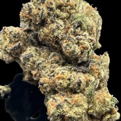 Harambe Ghost 👻 🔥 🔥 3 81A2AFFE 3506 4265 889F DC6D8B83C8FC