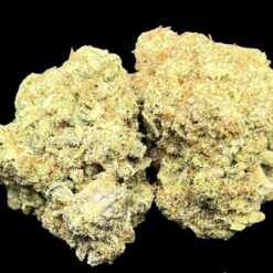 16FE8FE9 2307 4AE4 87EC 20F3F4303AAA