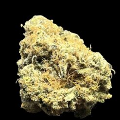 Big Bazooka 🔥 🔥 2 44A6D070 D2BA 462D A997 65FFED0D0FA3