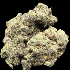 6BFB857A 33E0 4DB0 BCC4 F6C3862A4CC9