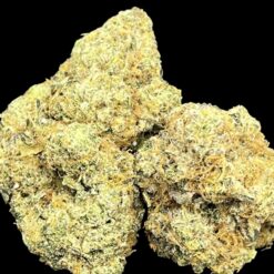 Big Bazooka 🔥 🔥 1 A26E8BAD A34E 4EEC B786 EDF5DF3F337B