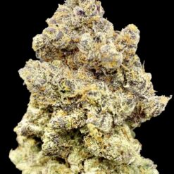 AE8901CE E592 4556 BC3A 5A6F3B960554