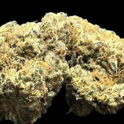 Big Bazooka 🔥 🔥 3 D6934E7A 4B11 4C44 A2E8 FD1E8B0FE31B