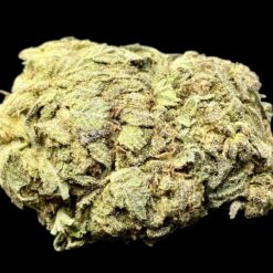 Cobra Lips 2 IMG 9121