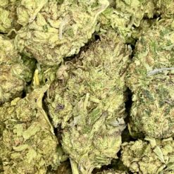 Cobra Lips 4 IMG 9126