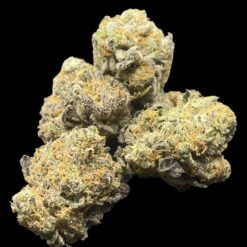 0491622C 91B7 4512 BA4C 3081B09414AF