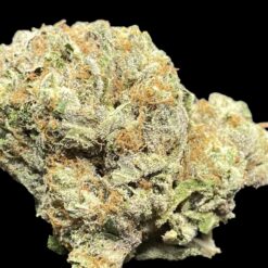 Grandpa Bub 👴 🔥 1 0BCC2D32 D06E 4CBD 89F1 27E31731D2FD