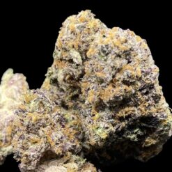 6CEEAC93 CADD 44D3 8405 09B217182C6C