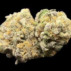 D5391CFA 9973 4DC1 8621 BC47D244DE10