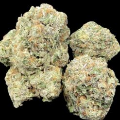 Grandpa Bub 👴 🔥 2 D719D32D ADCC 4386 8F2A DE06BB612383