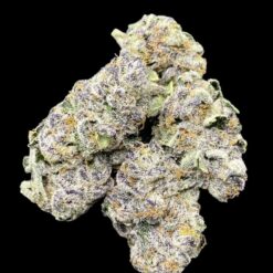 127A9D43 6F63 493E 901F AA850FD4B5D8