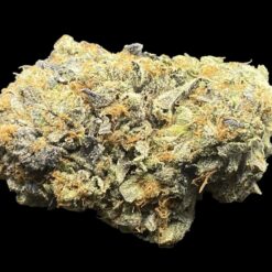 21A9DAEC 1AF2 4D5D ACA3 D01D060E0E44