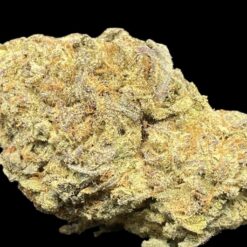 37EF562C 5CBB 4F90 8C4A F90F45C2D7DC