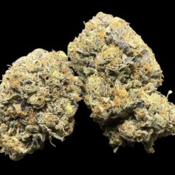 4396E821 AD5F 4544 B4F8 CB5962D2D93F