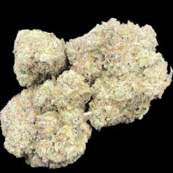 45796B7F C346 4BC1 A137 F97960F6C1A0