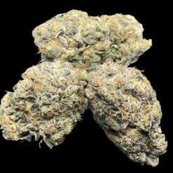 A2102810 1BA8 420D 81CC D9791AC9AD4F