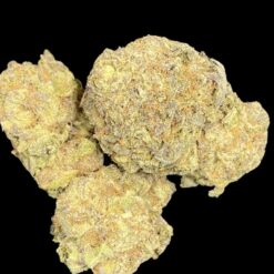 B74B4B4C 7EB1 476D 8BBD 4F9C2726487D