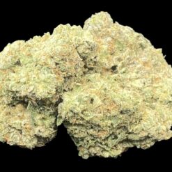 EF7497AE 81F6 4203 ADC6 99E7913274ED