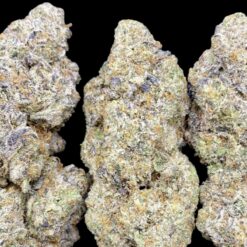 47B0CB44 93F3 40DF B84E 0B6A6BD64E45