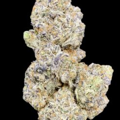 75D4AE2B 2DDD 44C7 94D3 ADCE7C5B62C4