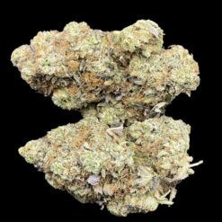 City of God 🌃 👼 🔥 🦨 1 B57EE99B BD10 4ECB A37A 0449E6A41462