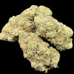 City of God 🌃 👼 🔥 🦨 2 CDF1F89A 7C4D 43D1 A4BB A72C95EE7110