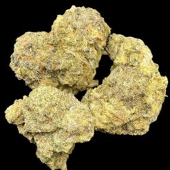 F3A1557C EE56 40CA 957D 8CDF6EDF2806