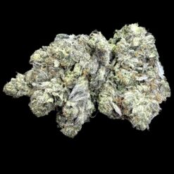 Spanky 🔥 🔥 ⛽️ 3 IMG 2820